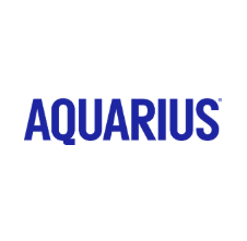 aquarius Aquarius Limón 300ml